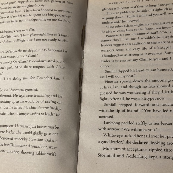 Bluestar’s Prophecy WARRIORS SUPER EDITION - Picture 9 of 10